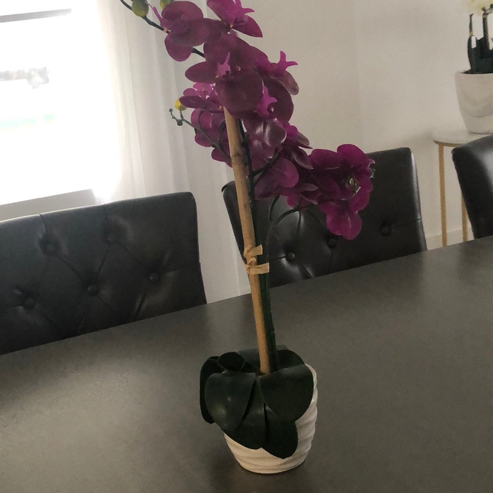 Fake plant